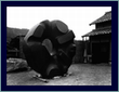 Picture of Black sun