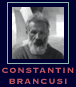 Picture of  Constantin Brancusism