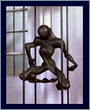 Picture of Lynchfig