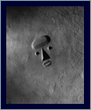 Picture of Mars 269